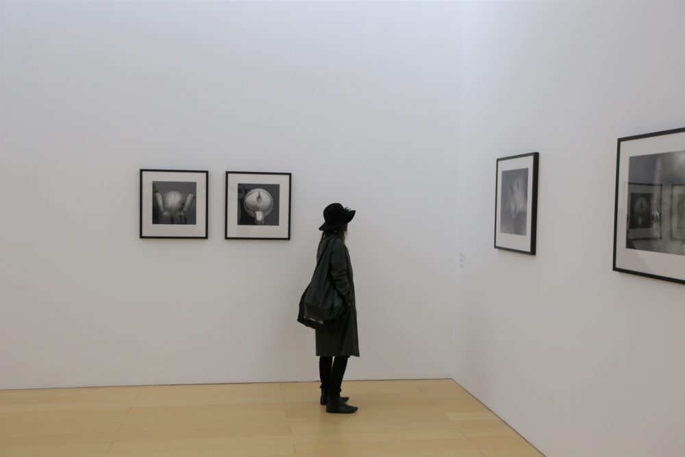 Robert Mapplethorpe. Coreografia per una mostra, veduta della mostra al Madre, Napoli. Foto © Francesco Pierantoni.