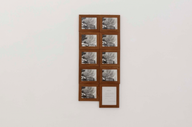 Douglas Huebler, Location Piece #7, Snow Sculpture Project Bradford, Massachusetts, 1974. Foto © Amedeo Benestante. In esposizione fino a dicembre 2016. | Douglas Huebler, Location Piece #7, Snow Sculpture Project Bradford, Massachusetts, 1974. Photo © Amedeo Benestante. On view until December 2016.