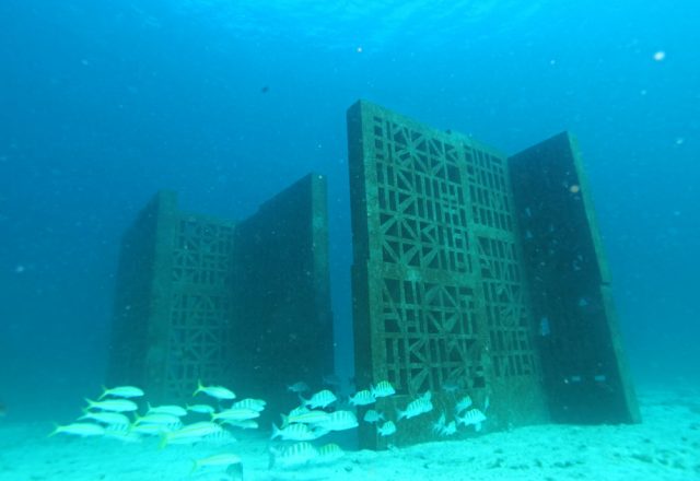 Garden in the sea (still da video), 2011.