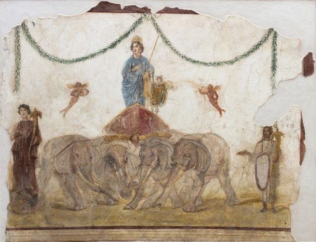 Venere su quadriga trainata da quattro elefanti, I sec. d.C., affresco. Pompei, officina di Verecundus (IX 7,7). Courtesy Parco Archeologico di Pompei. Foto © Amedeo Benestante.