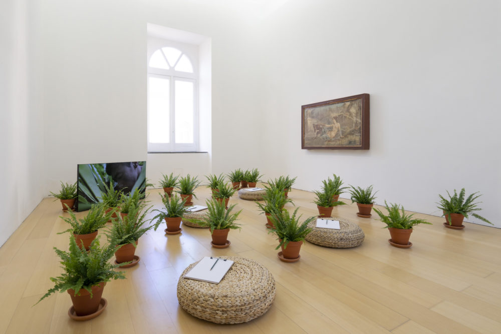 madre-napoli_rethinking-nature_2. Zheng Bo