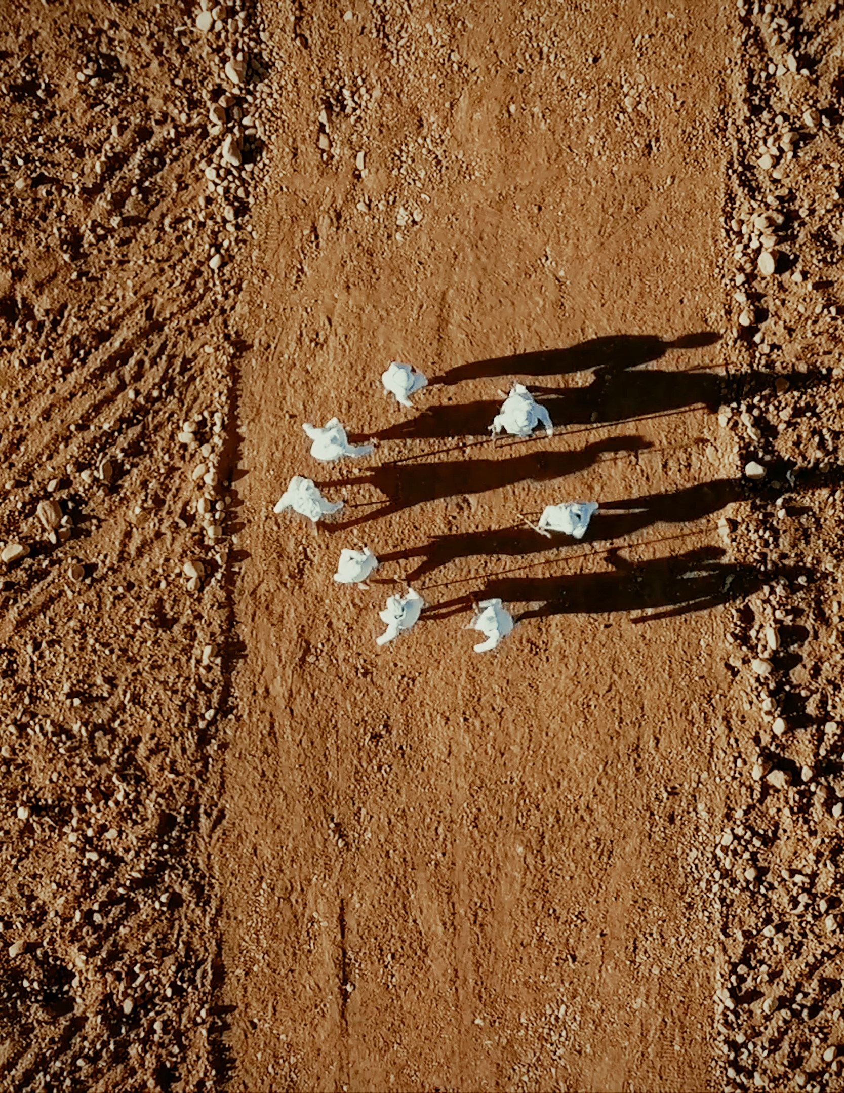 Buhlebezwe Siwani, AmaHubo, 2018. Digital video, colour, sound, 13’01”