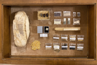 madre-napoli_gianfranco-baruchello_Baruchello_Agricola Cornelia 1