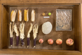 madre-napoli_gianfranco-baruchello_Baruchello_Agricola Cornelia 2