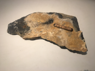 madre-napoli_jimmie-durham_Durham 1