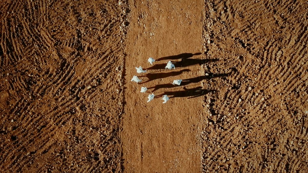 madre-napoli_rethinking-nature_AmaHubo (Video Still) 2018 HD Video with Sound 13 mins 1 sec 01 (1)