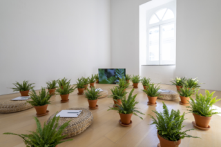 madre-napoli_zheng-bo_Zheng Bo 2