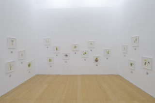 madre-napoli_maria-thereza-alves-con-key-rusu-katupyry-e-vera-poty-resaka_Maria Thereza Alves