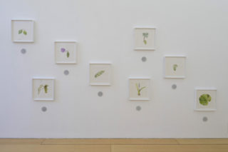 madre-napoli_maria-thereza-alves-con-key-rusu-katupyry-e-vera-poty-resaka_Rethinking Nature - Maria Therez